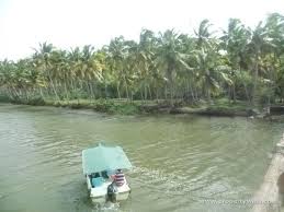 Trivandrum Poovar